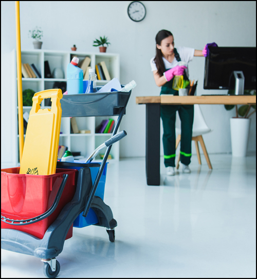 Woman Cleaning Office Desk