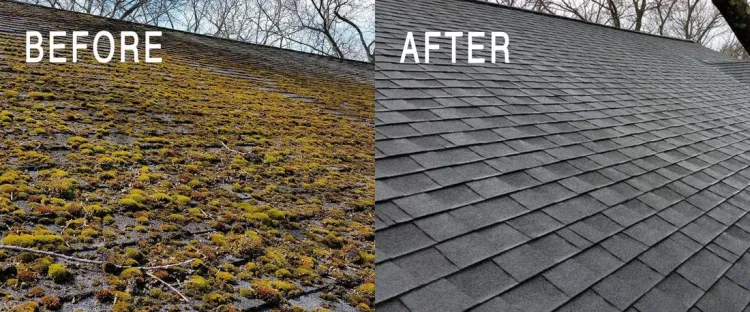 Roof Cleaning Before and After